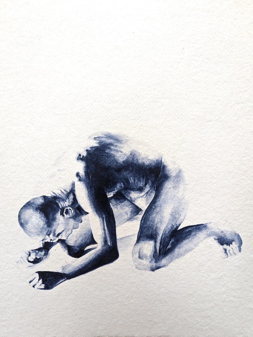 CROW – Indigo passion4