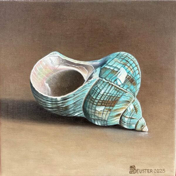 Frank Beuster – „Karibische Muschel“